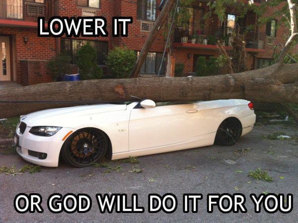 car-humor-funny-joke-road-street-drive-driver-bmw-tree-lower-it-or-god-will-do-it-for-you.jpg