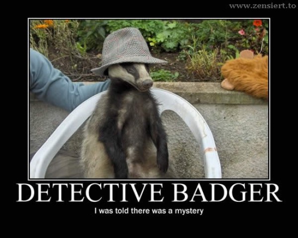 detective-badger.jpg
