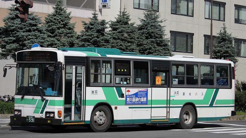 591 bus