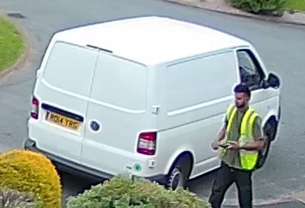 White van man snapped from video