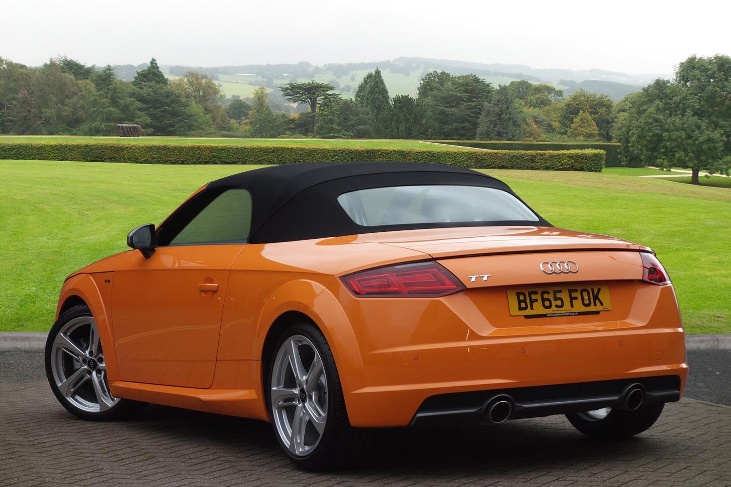 WHAT A COLOUR TTS ROADSTER  2