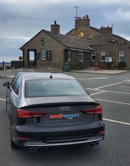 Cat and fiddle