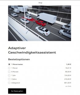 Adaptoive Cruise Assist (De).jpg