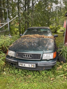 Audi100 front